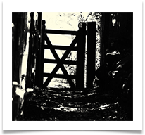 06 Pool Lane low key - Carol Sparkes